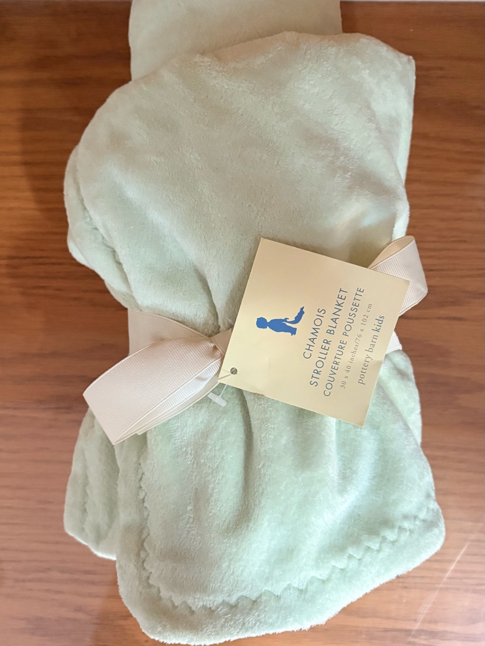 Pottery Barn Kids Chamois Baby Blanket Reversible Stroller Crib Mint Green White